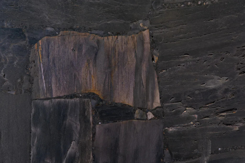 Black Petrified Wood reverse cut