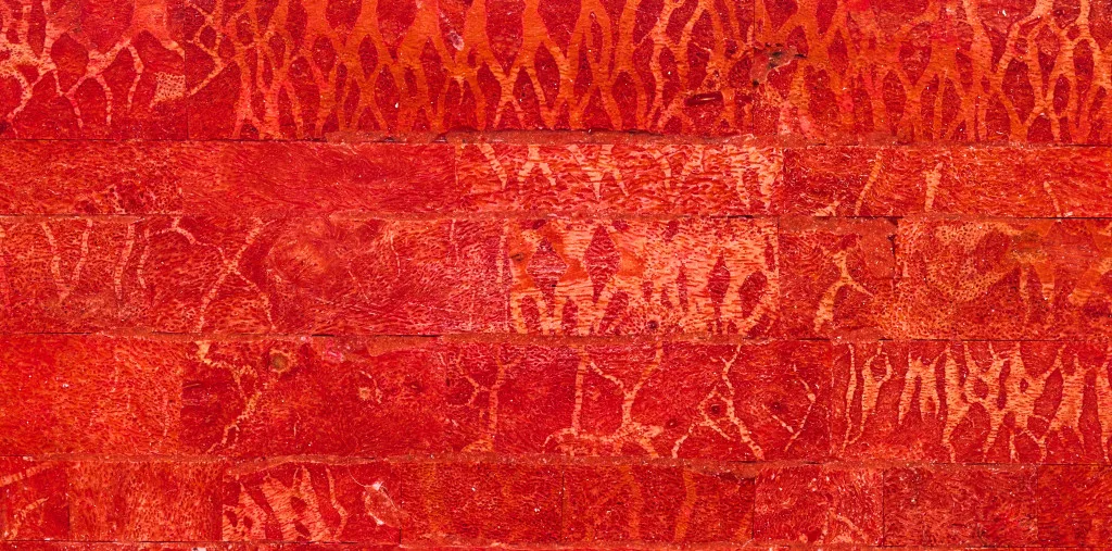Natural Coral