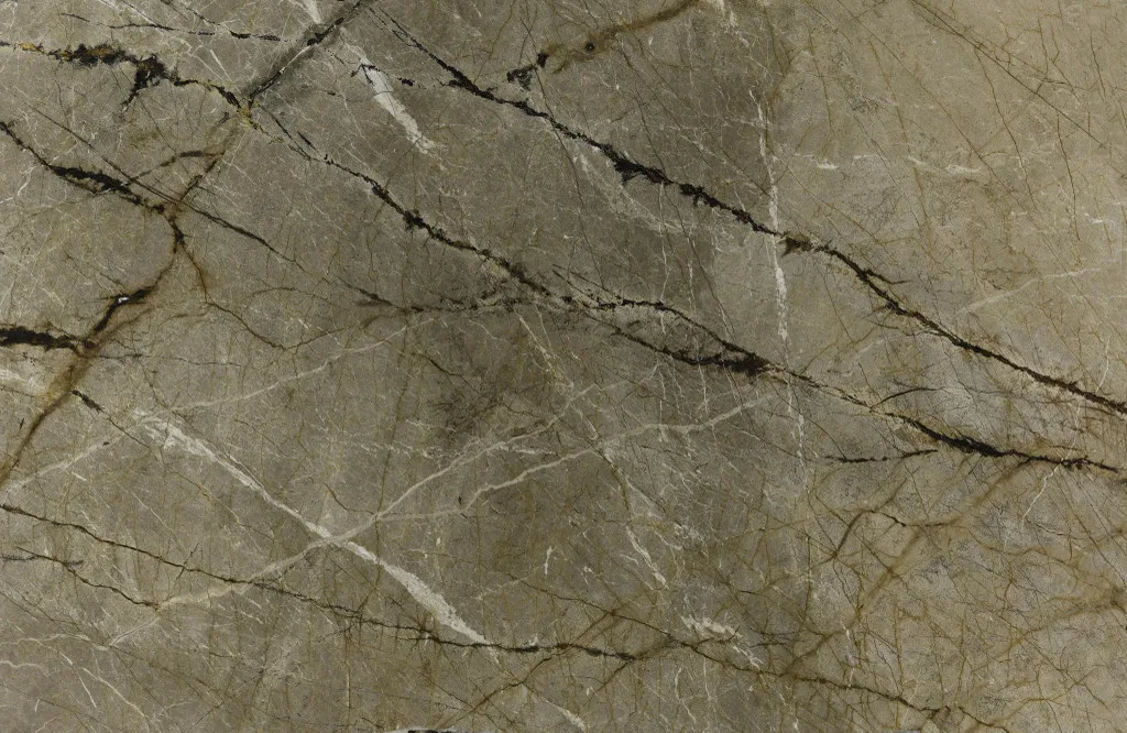 Silver Roots