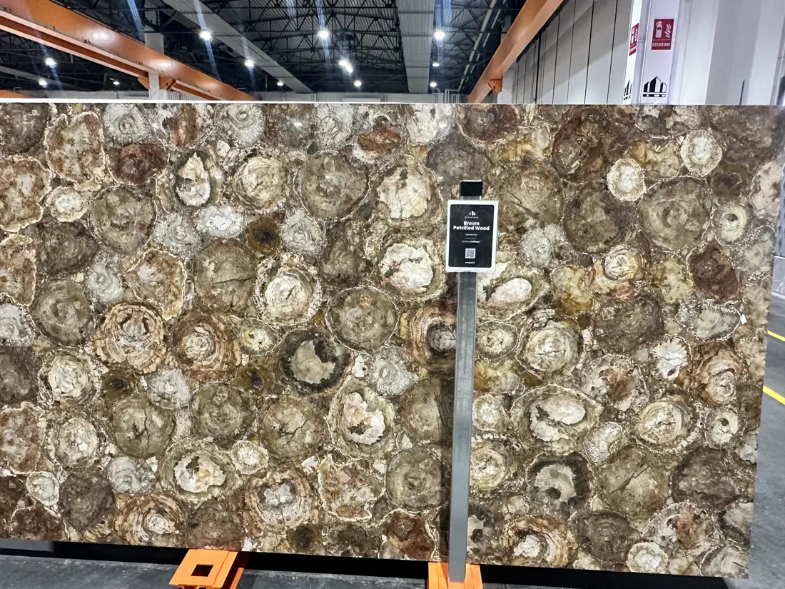 Tranche de bois pétrifié Brown Petrified Wood, pierre semi-précieuse polie